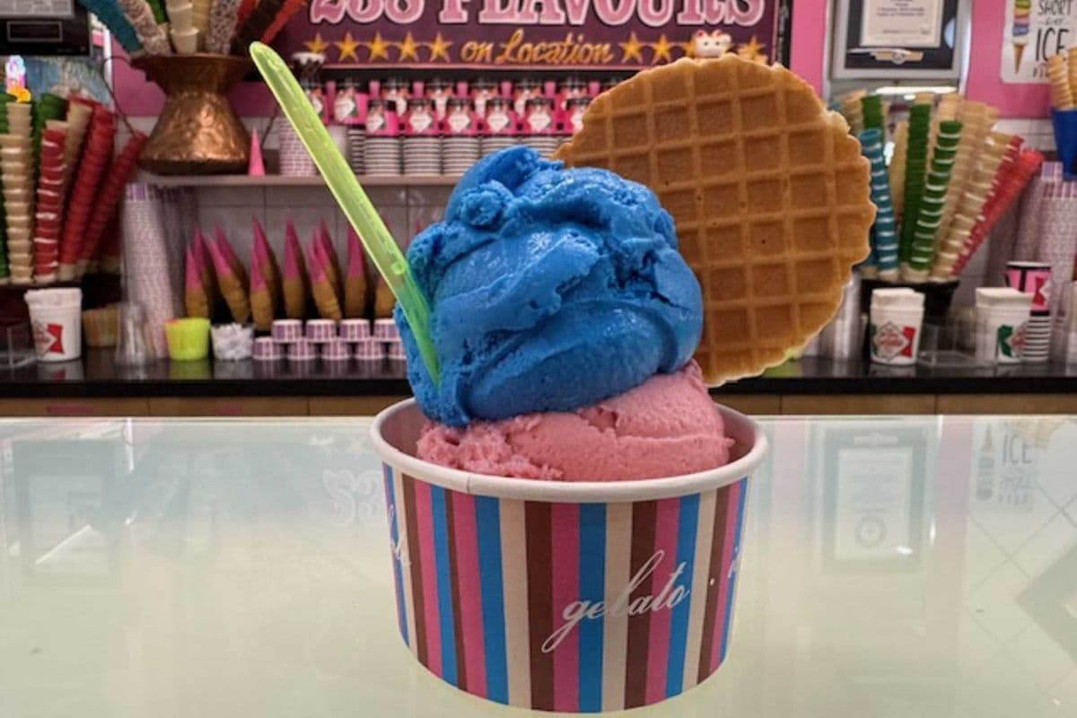 Gelato or Sorbetto (Double Cup)