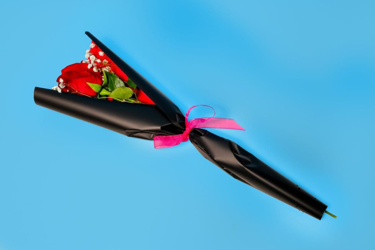 Single Rose