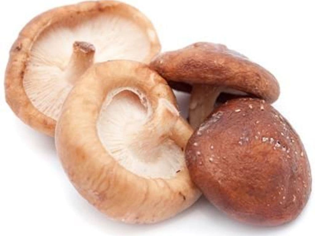 PONDEROSA ORGANIC SHIITAKE MUSHROOMS 100G