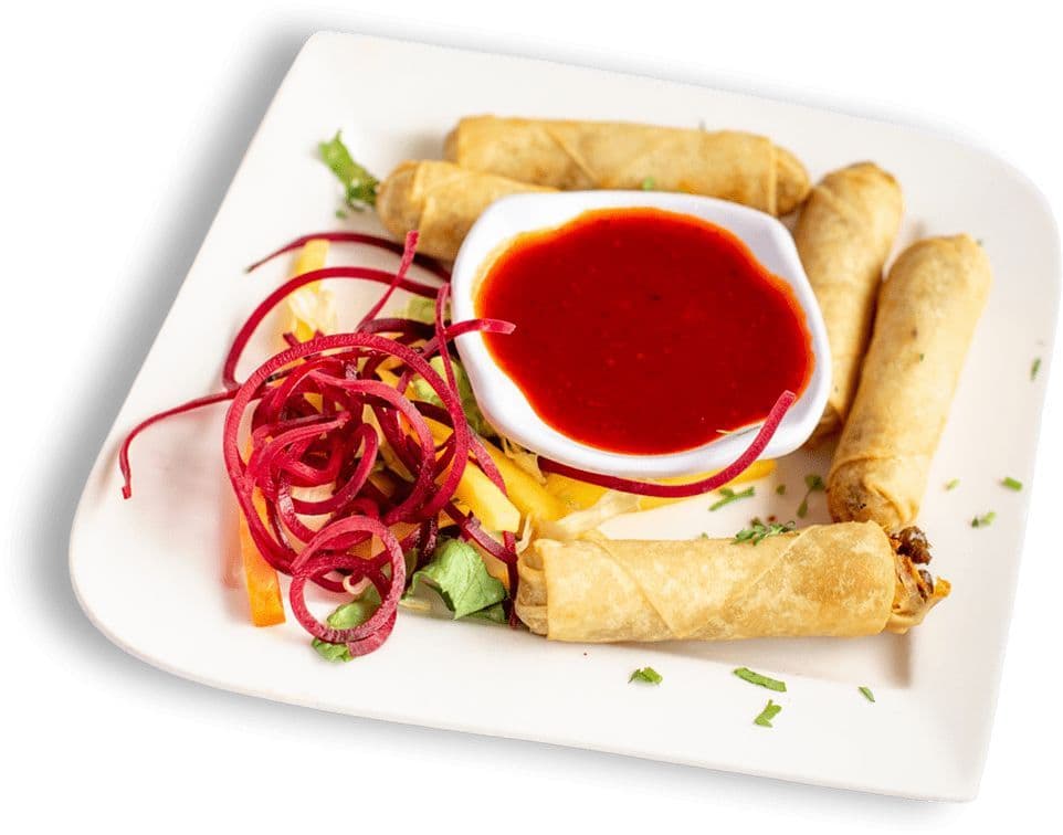 Vegetable Spring Rolls