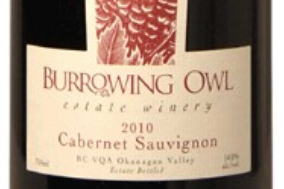 Burrowing Owl Cabernet Sauvignon (1 x 750ml)