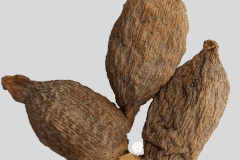 Alligator Pepper