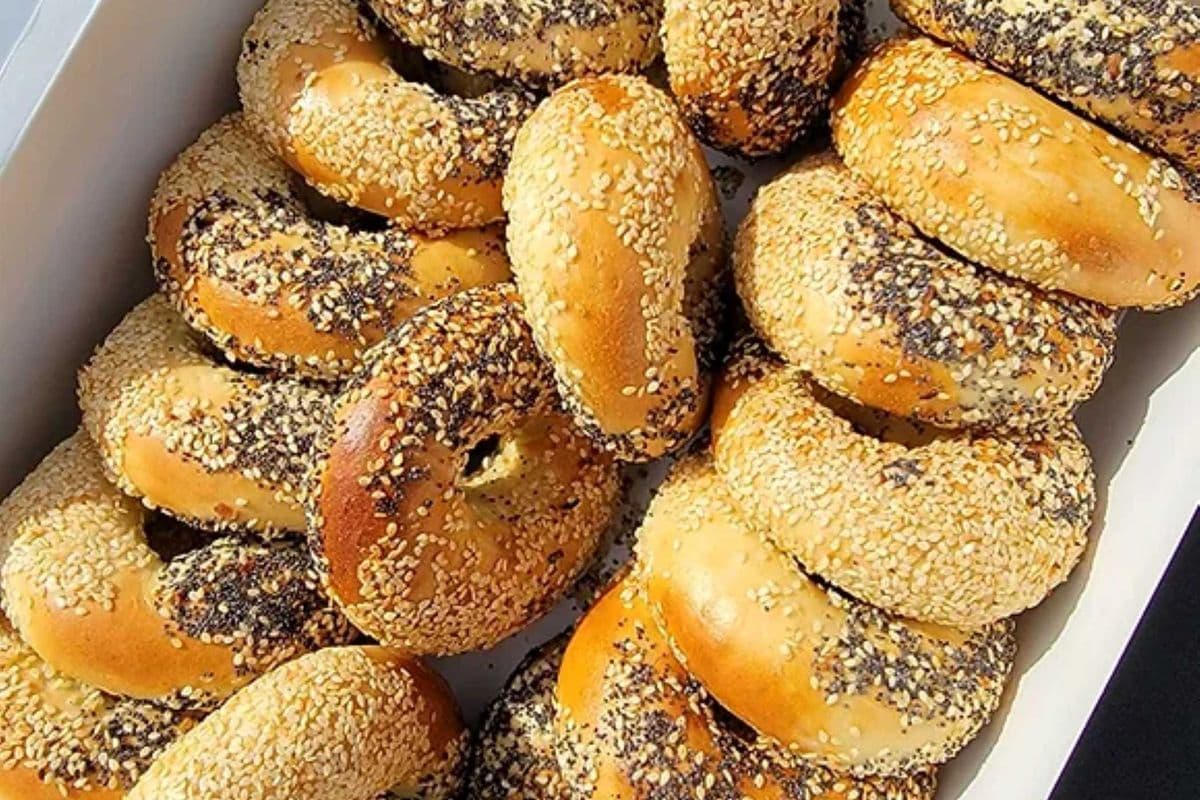 Half dozen Bagels (6 bagels)