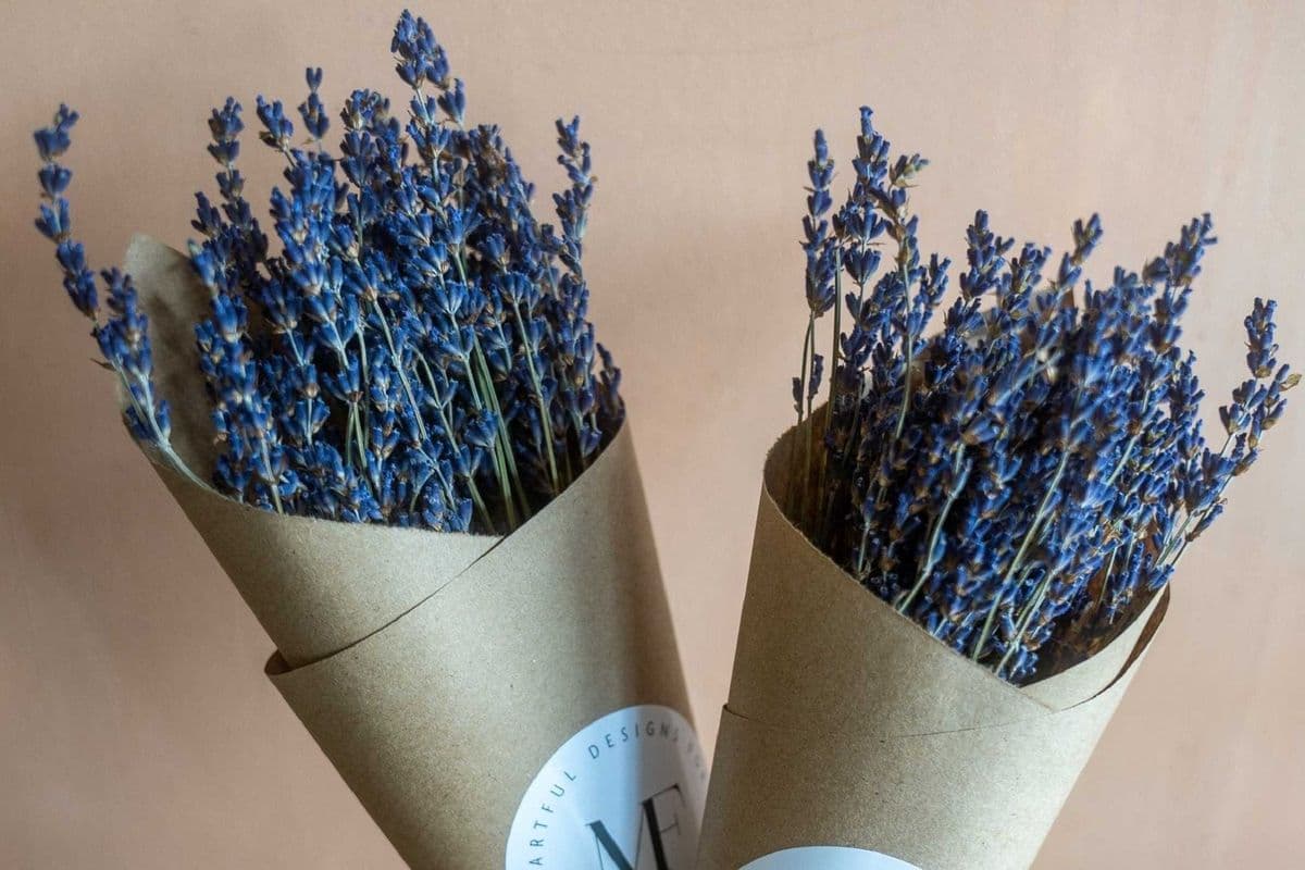 Lavender Bunch