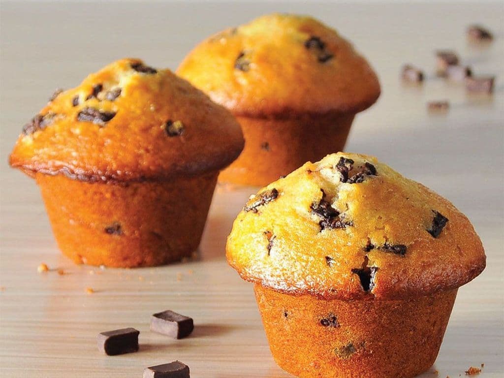 Chocolate Chip Muffin