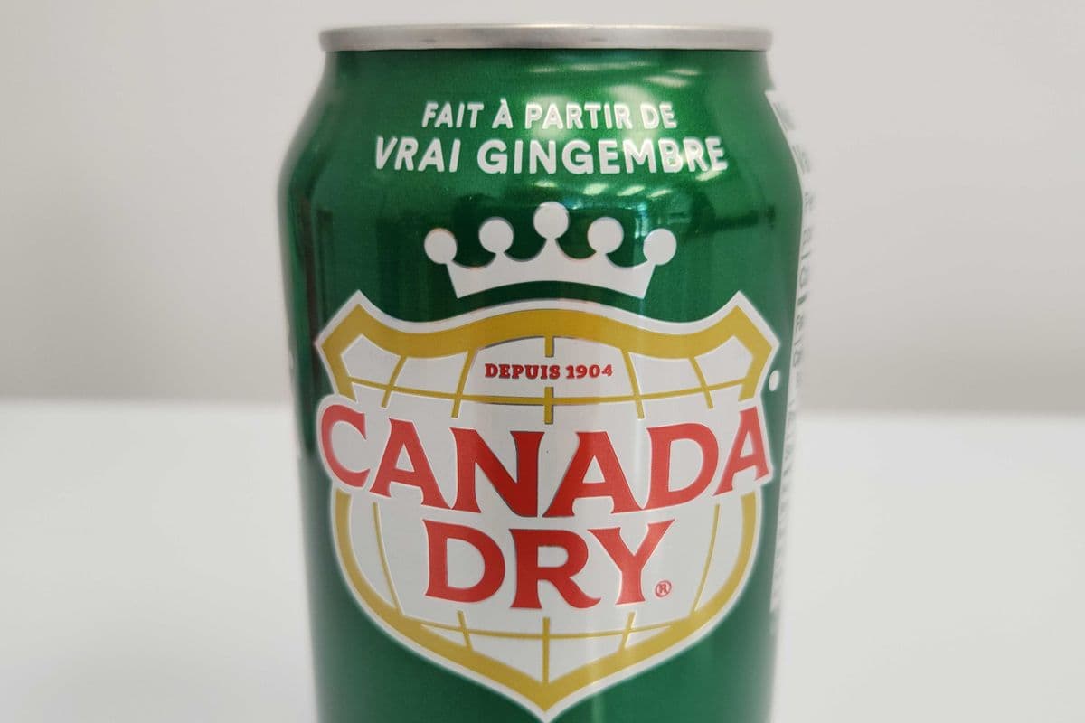 Ginger Ale (355ml)