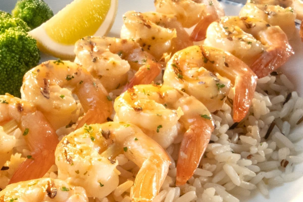 Grilled Shrimp