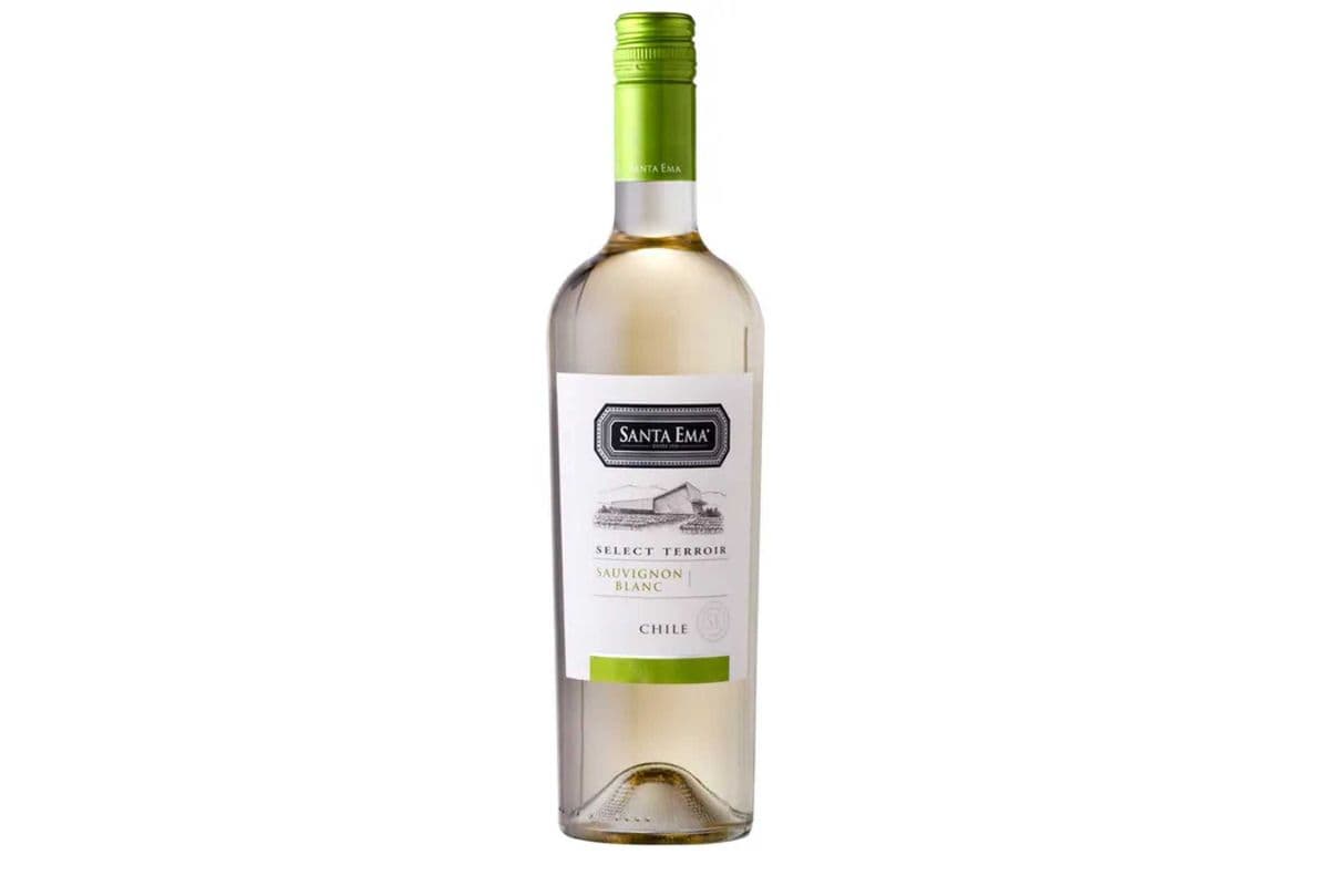 Santa Ema Select Terrior Sauvignon Blanc - Chile (1 x 750 ml)