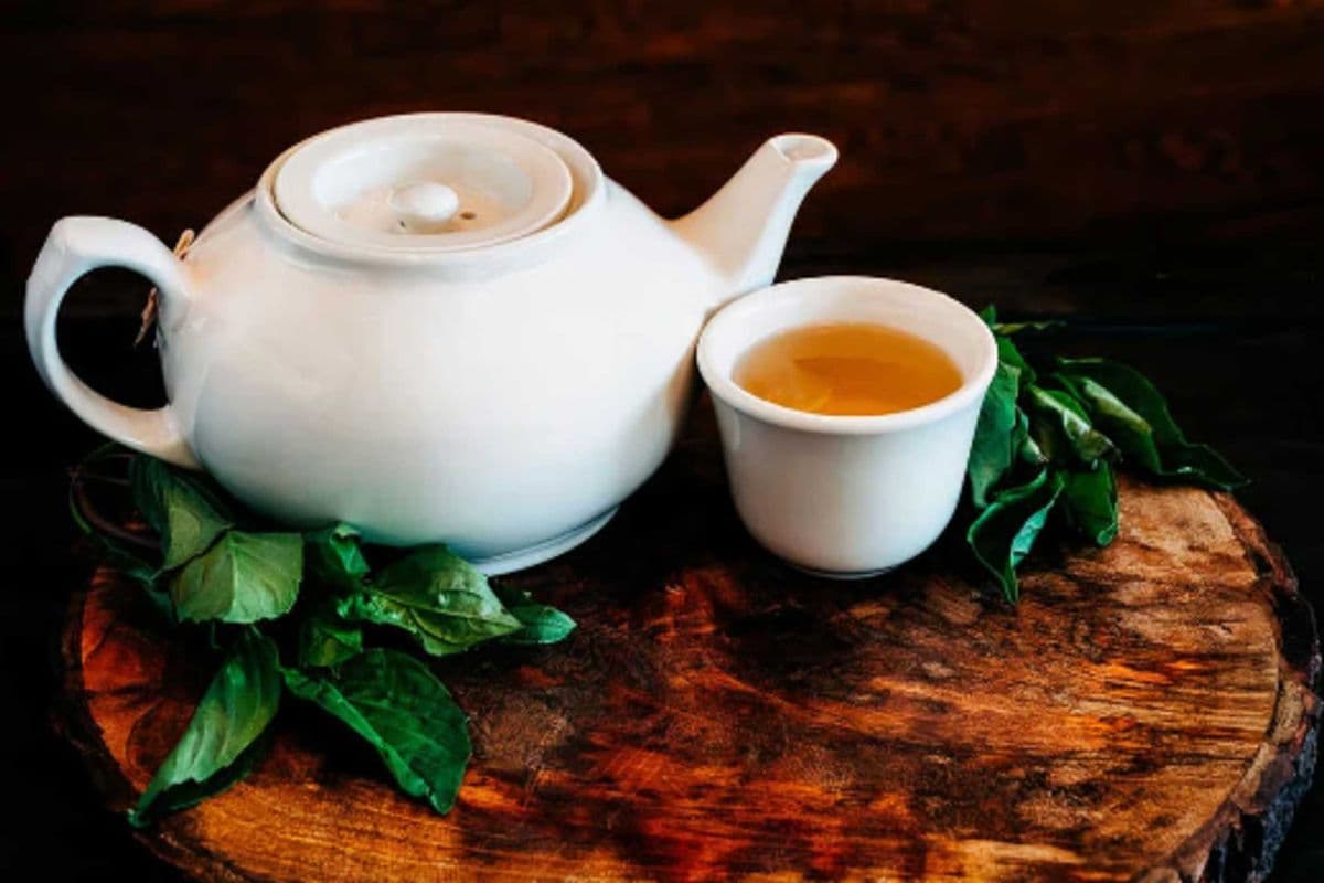 Jasmine Tea Pot