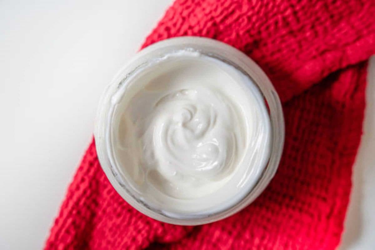 Yogurt (Plain Dahi)