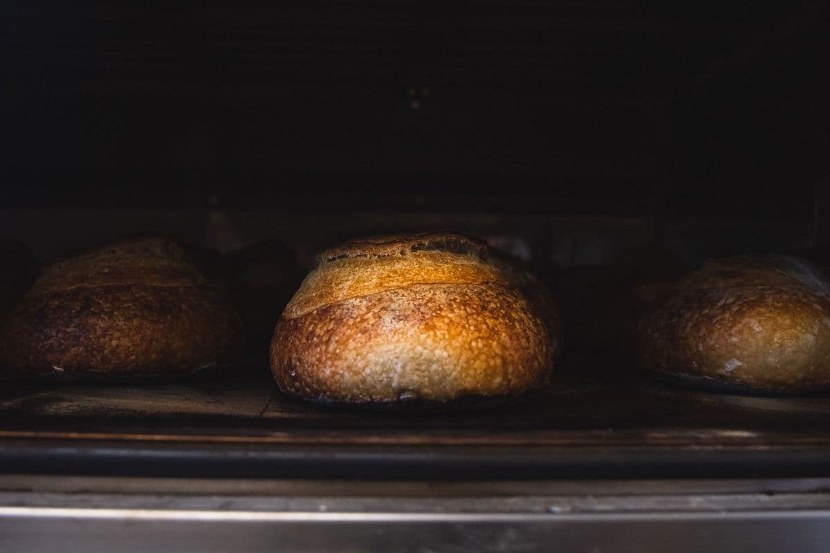 White Sourdough