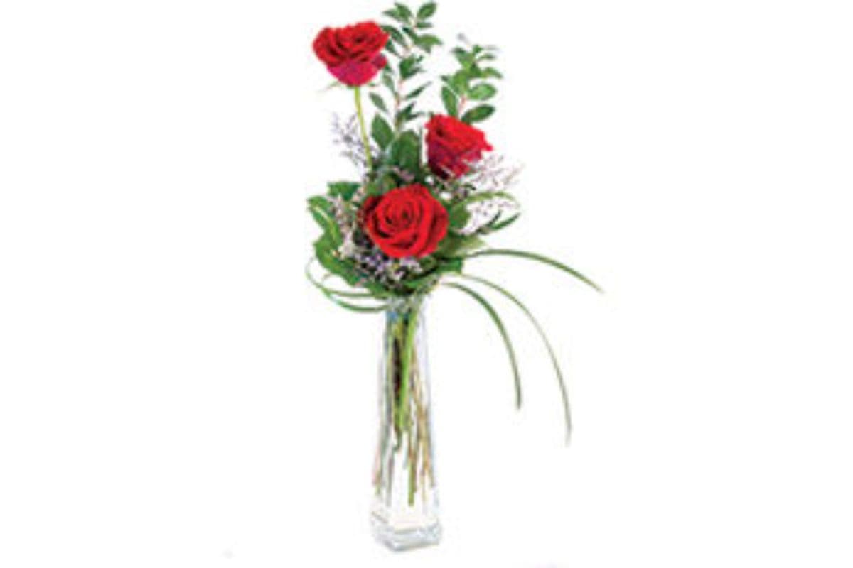 Trio Red Roses