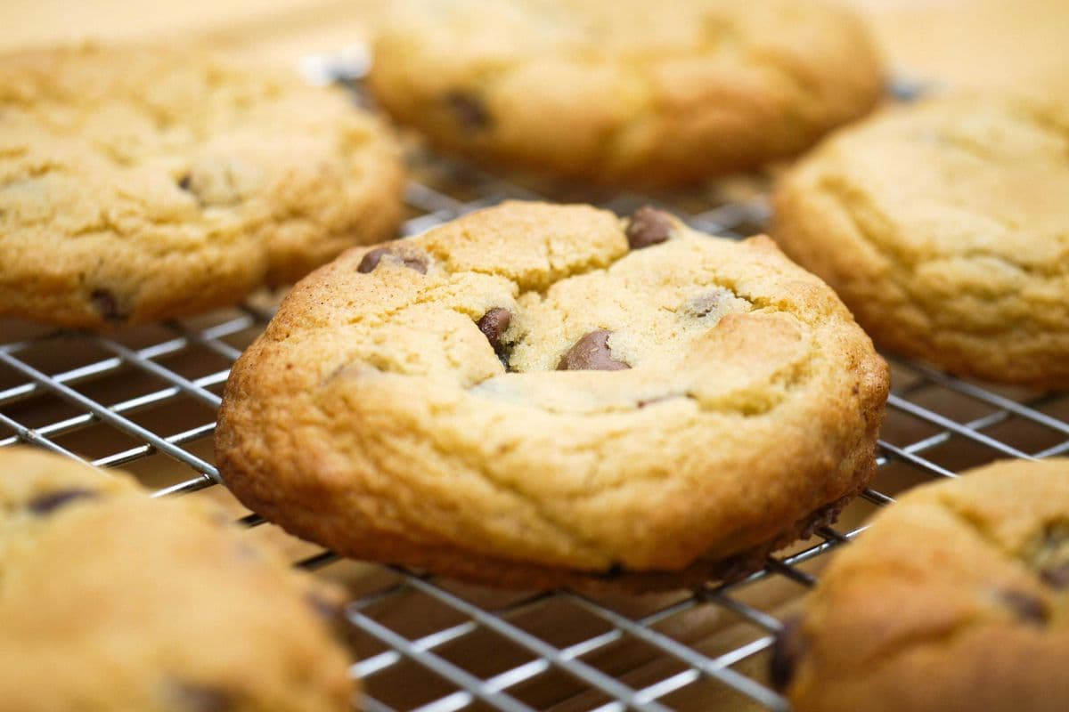 Chocolate Chip Cookie------