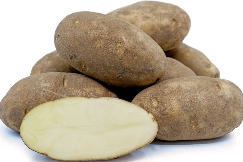 Potato Russet (4 pcs)