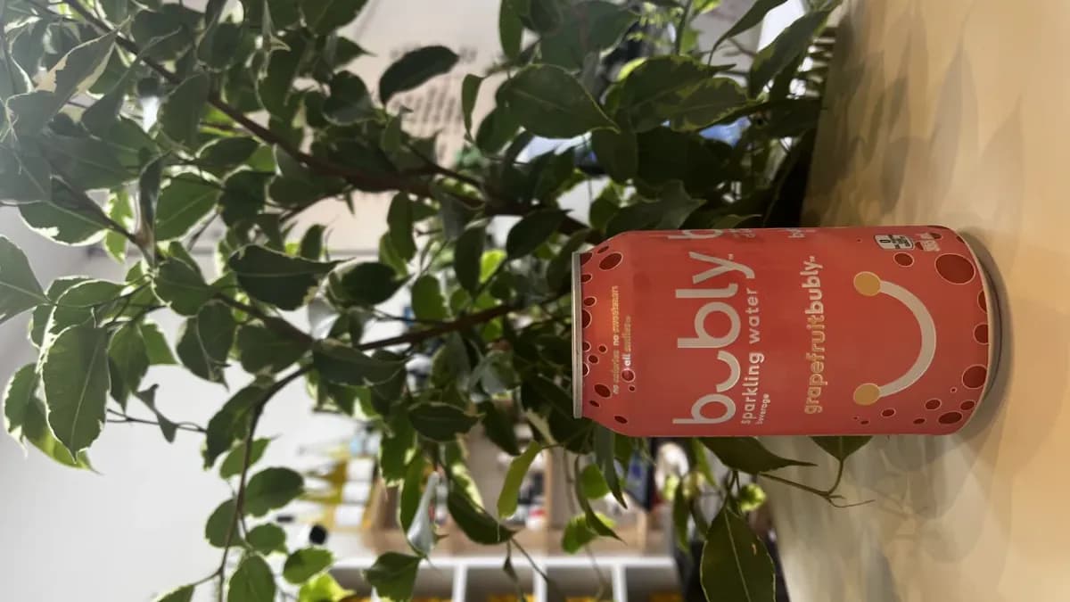 Bubly Water - Grapefruit