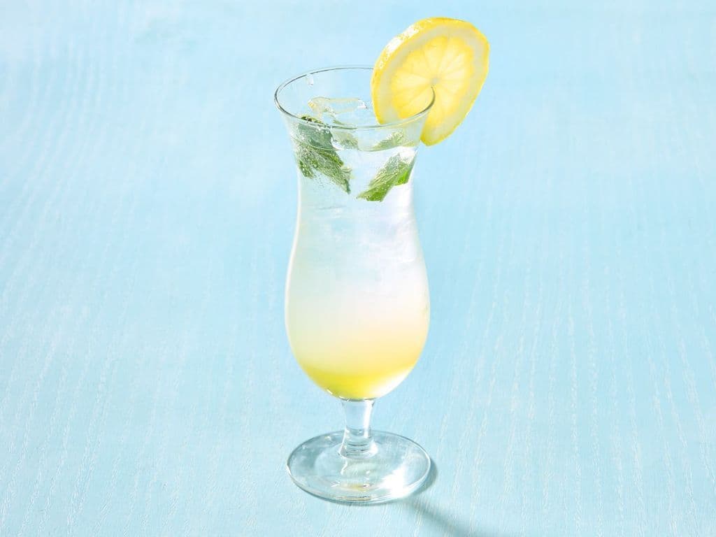Pineapple Fusion Mojito