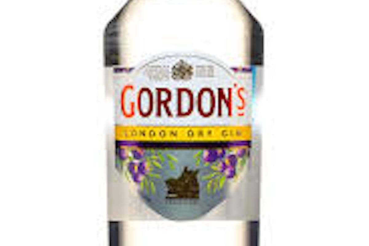Gordon's London Dry Gin (1 x 750 ml)