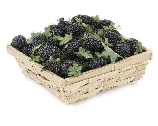 Box Of Blackberries