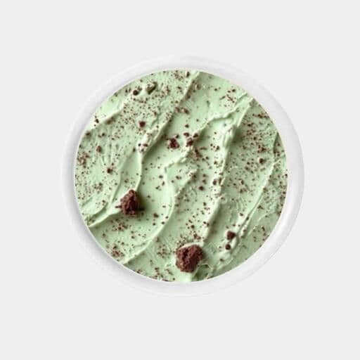 Mint Chip Ice Cream