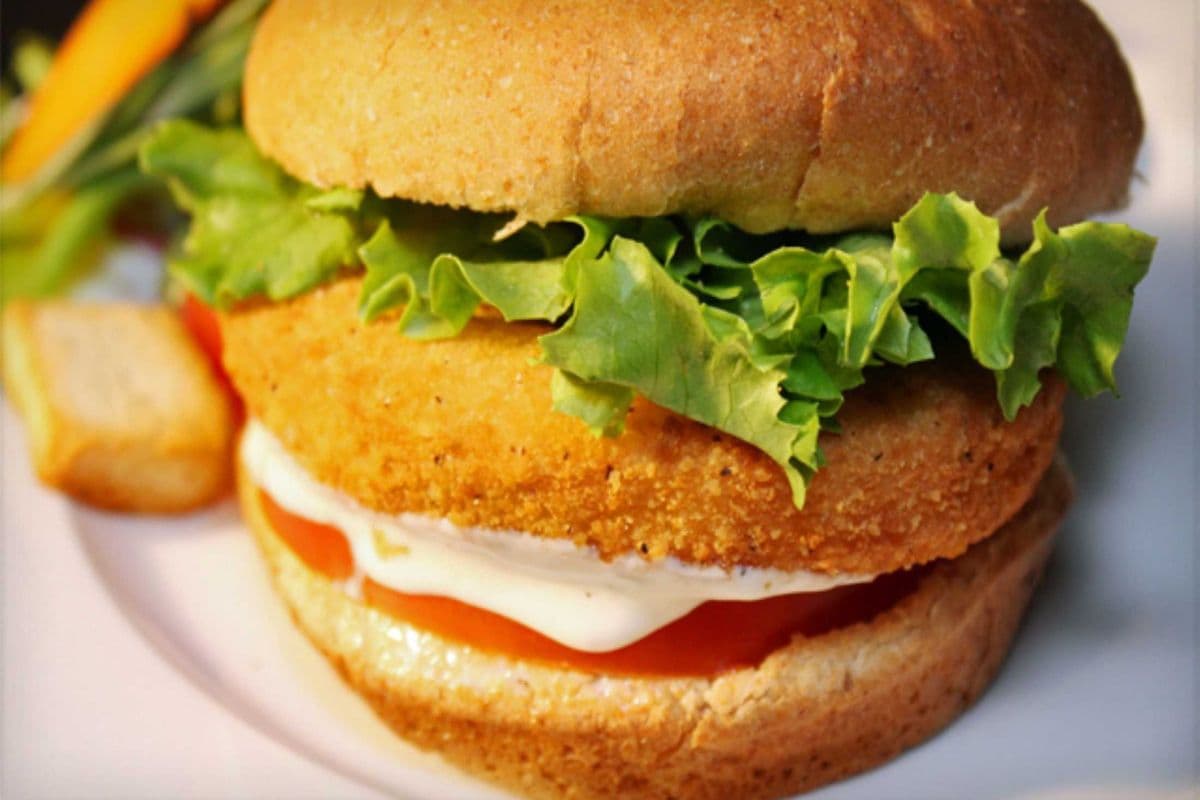 Chicken burger.Made with white meat.Served with fries and pop,