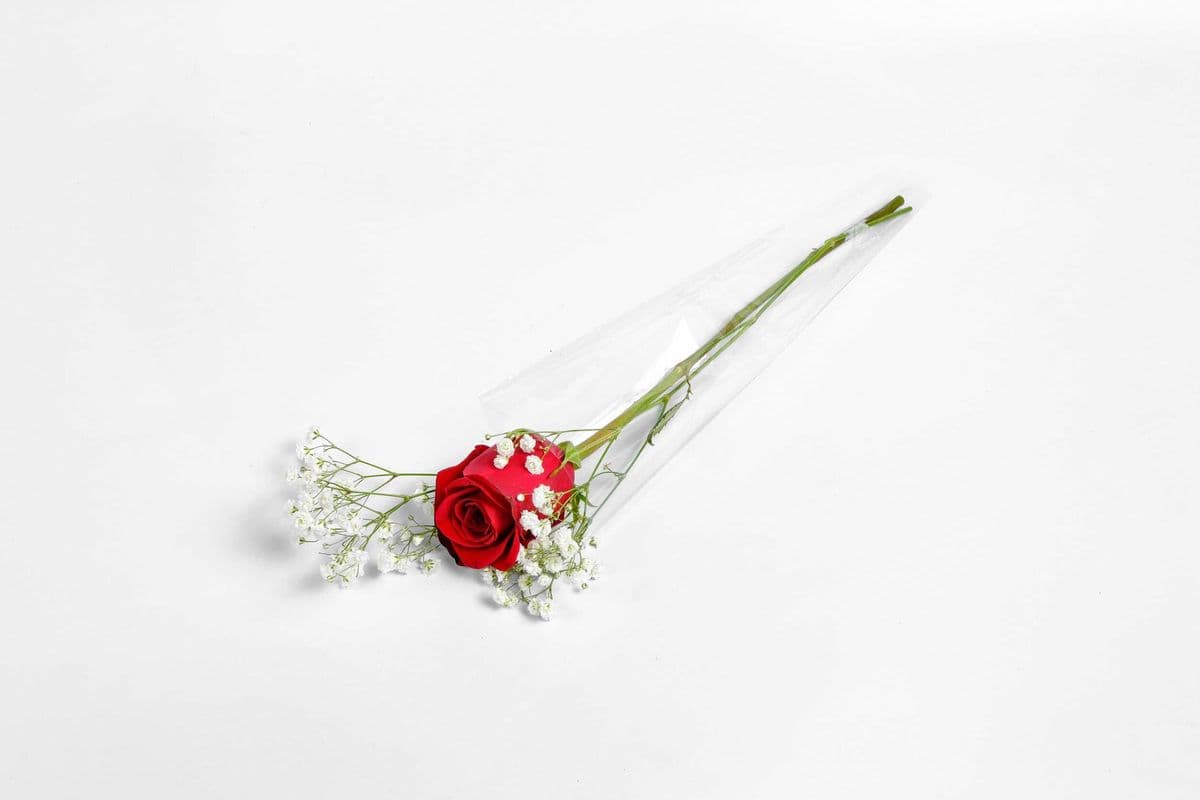 One Rose with Filler