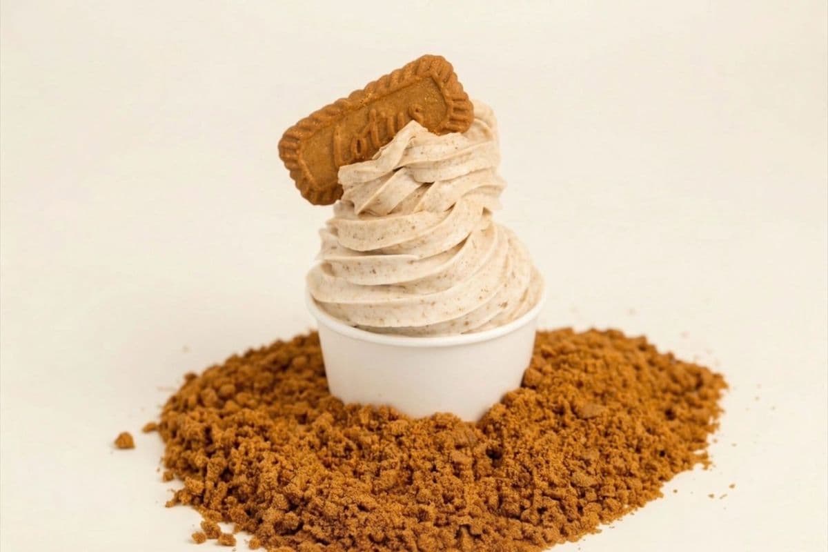 Biscoff Frozen Yogurt