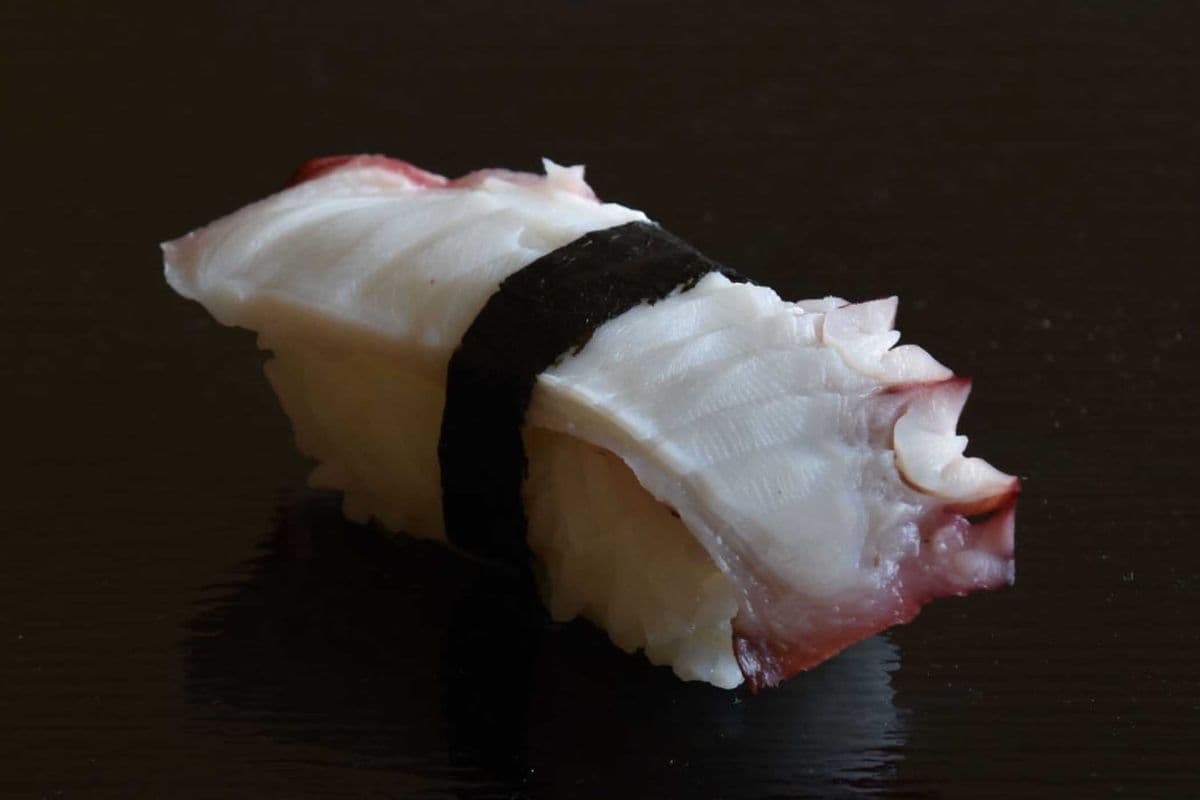 Octopus (Tako) Nigiri