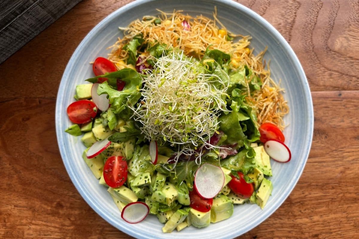 Avocado Salad