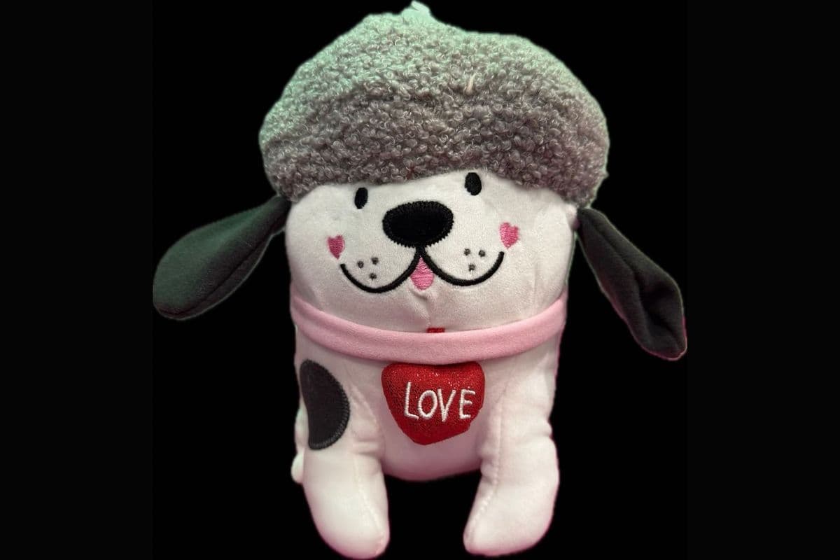 Cozy Love Pup