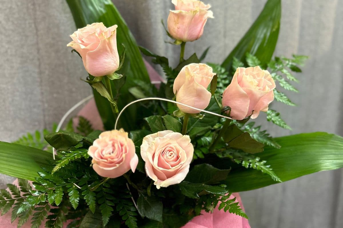 Someone Special - Six Pink Roses