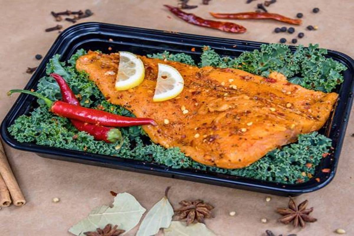 Salmon Fish