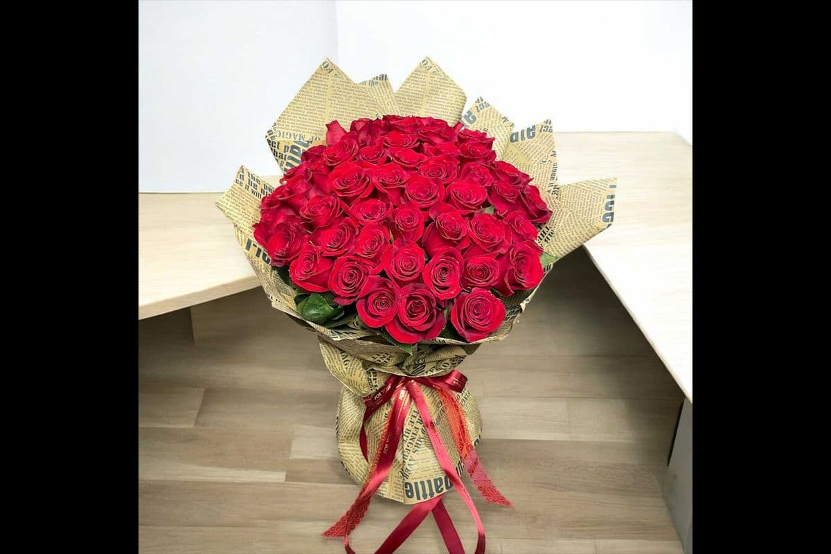 Rose is Red 12