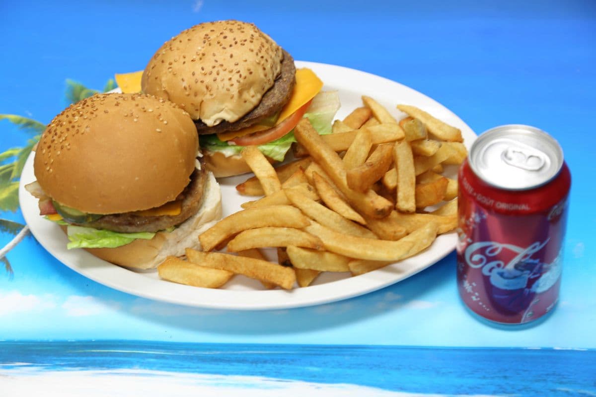 Hamburger with Fries Meal