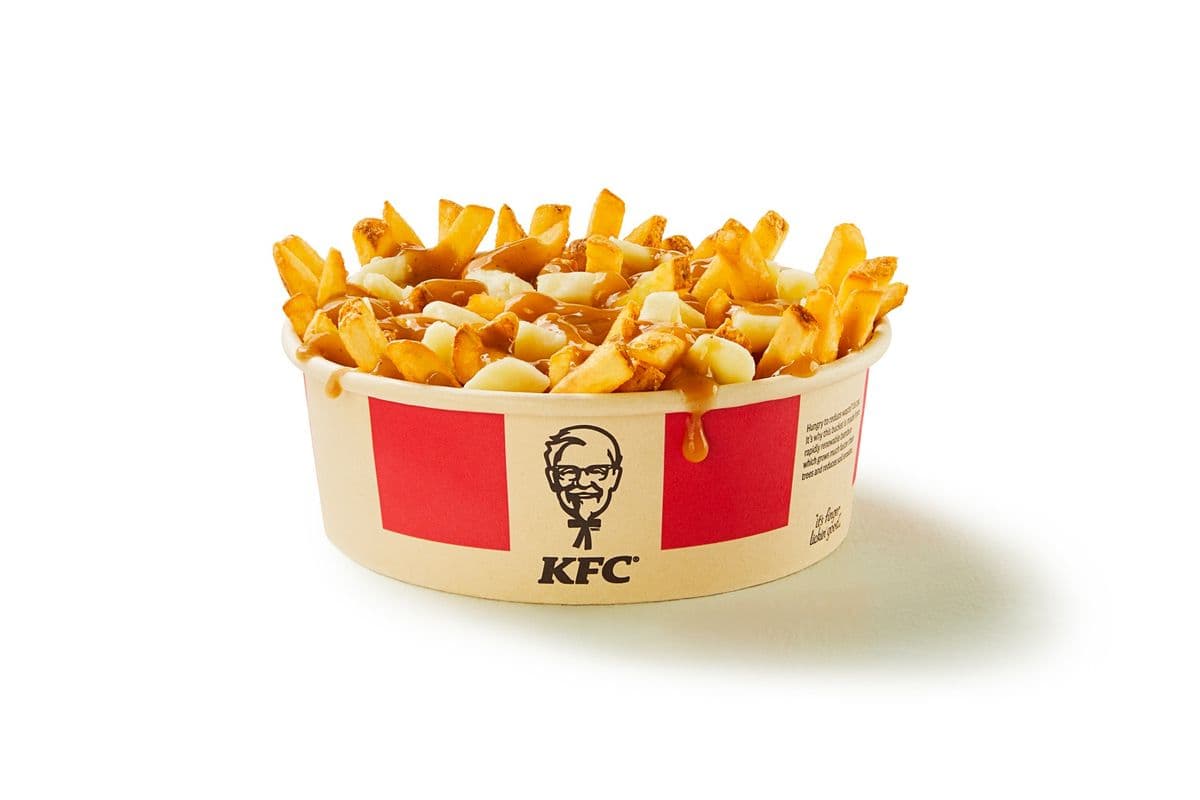 Large Poutine