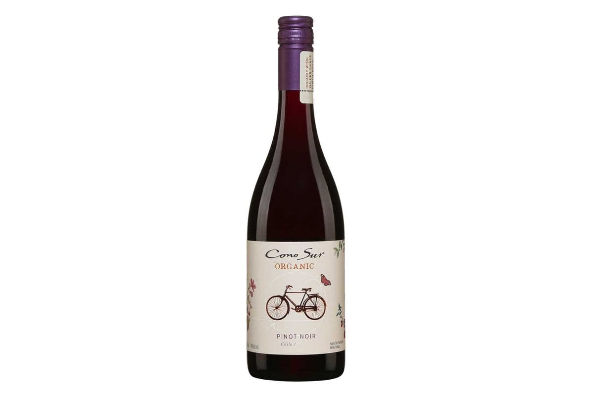 Cono Sur Pinot Noir (Organic) (Chile) (750 ml) (1 x 750ML)