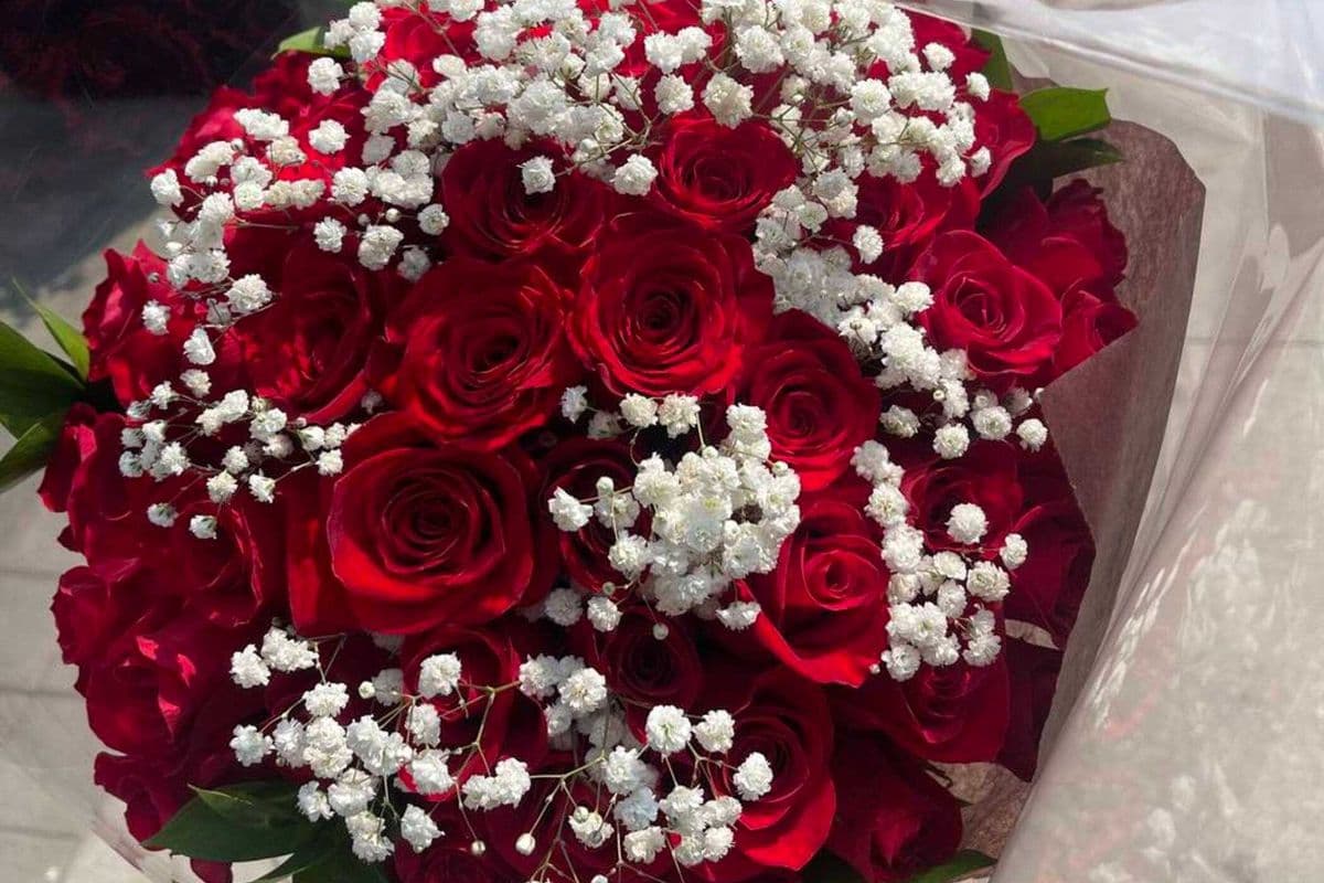Red Roses - 2 Dozen (24 Stems)