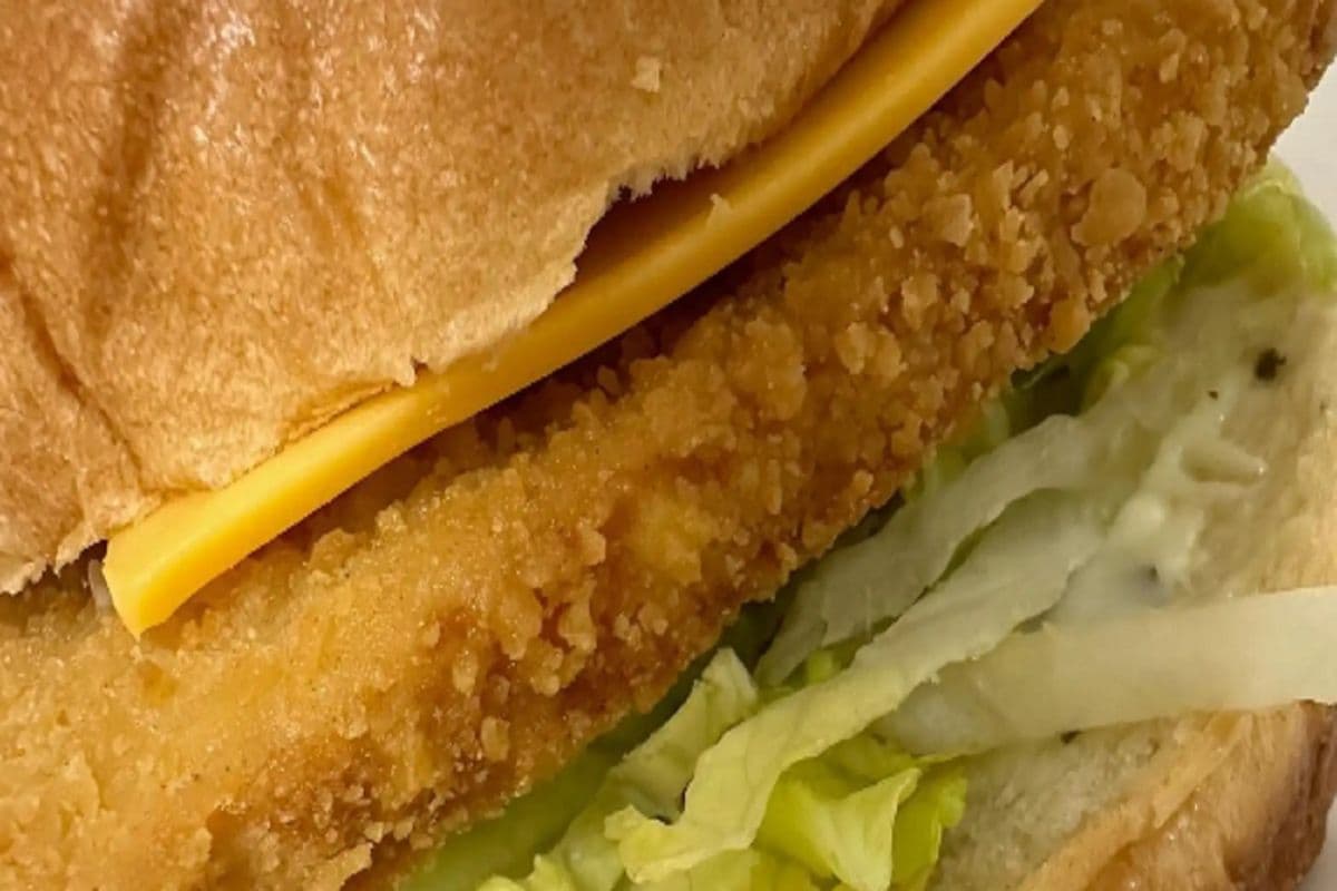 Salmon Burger
