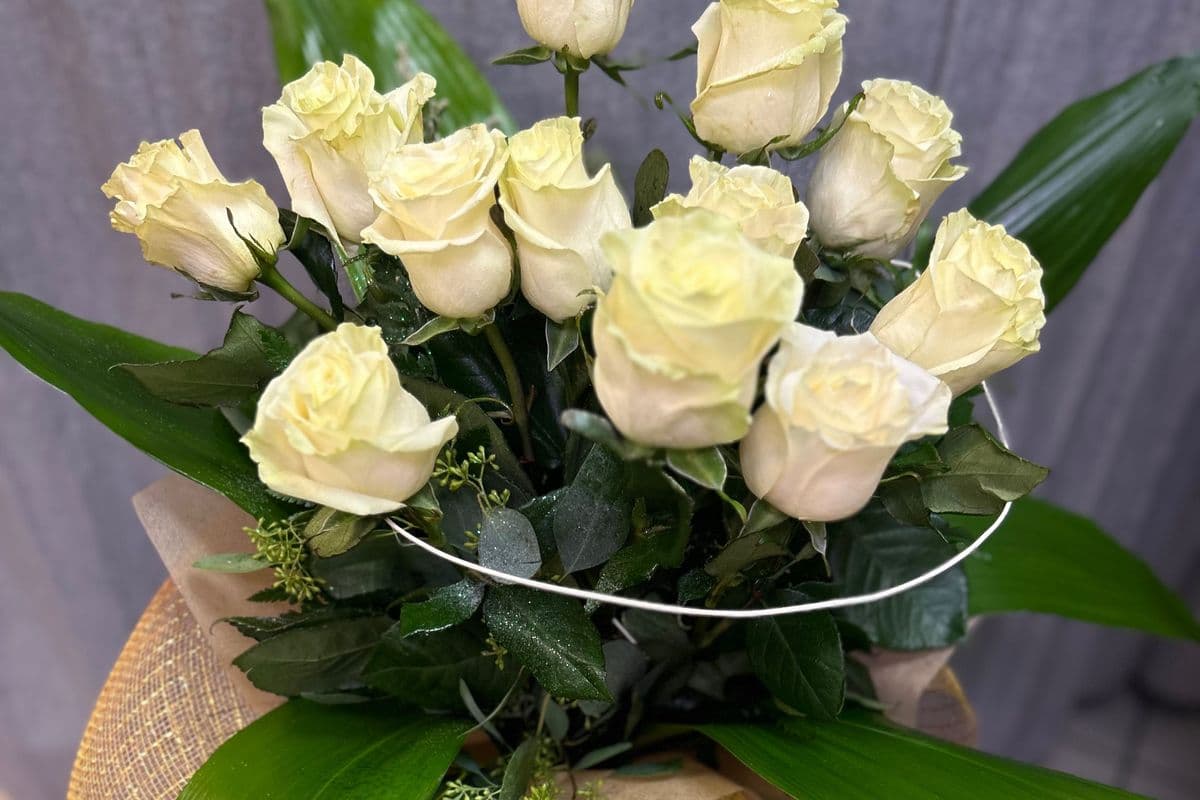 Love Bite - 12 White Roses In A Vase