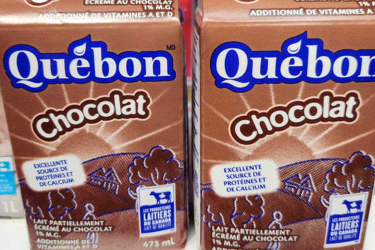 Quebon chocolat (473 ml) / Chocolate Quebon (473 ml)