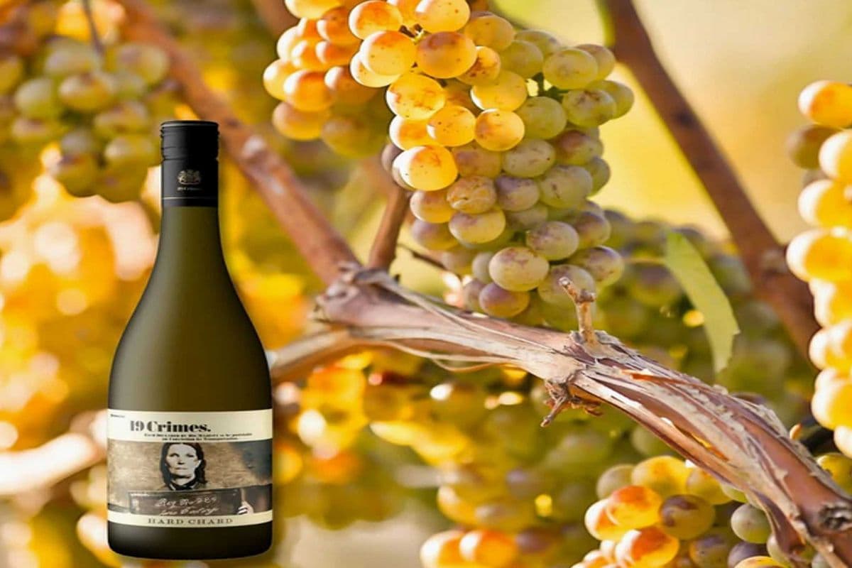 19 CRIMES HARD CHARD (1 x 750 ML)