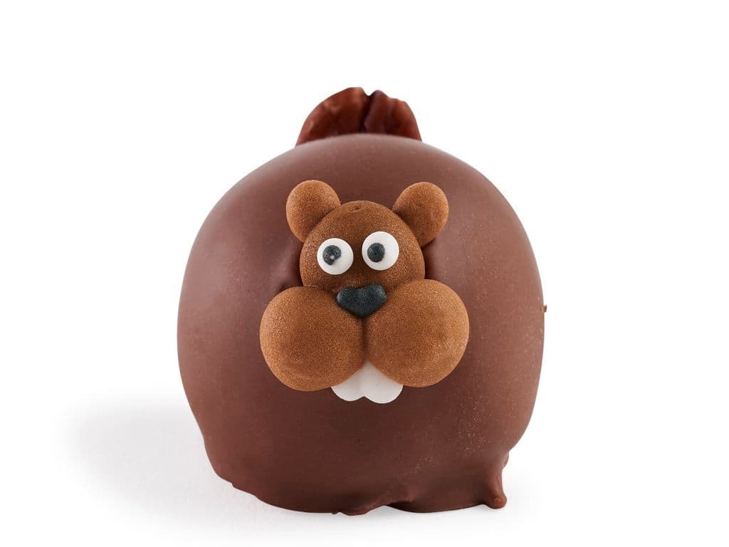 Beaver Bomb