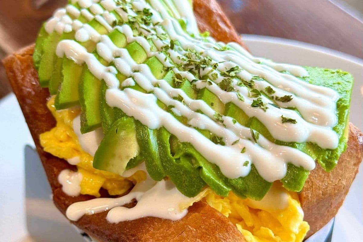 Avo Holic
