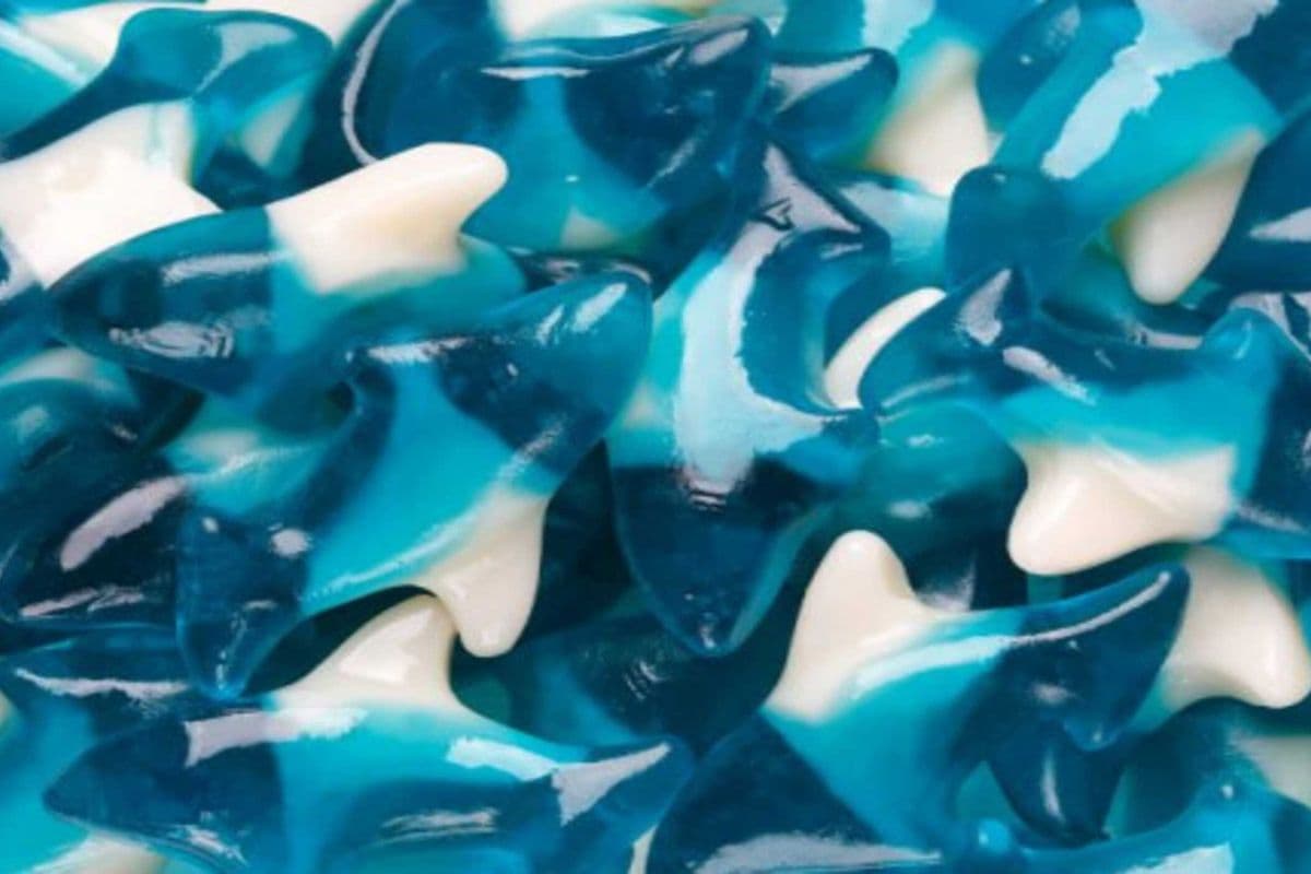 (Candy) Blue Shark Gummies