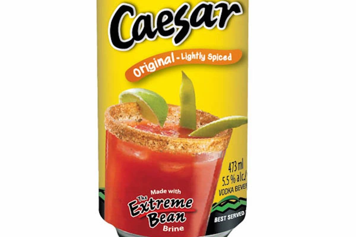 MATT & STEVE'S CAESAR - ORIGINAL 473ML (1 x 473ML)