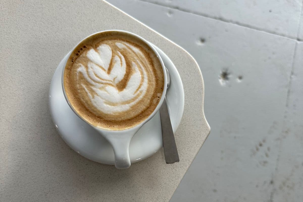 Cappuccino (8 oz)