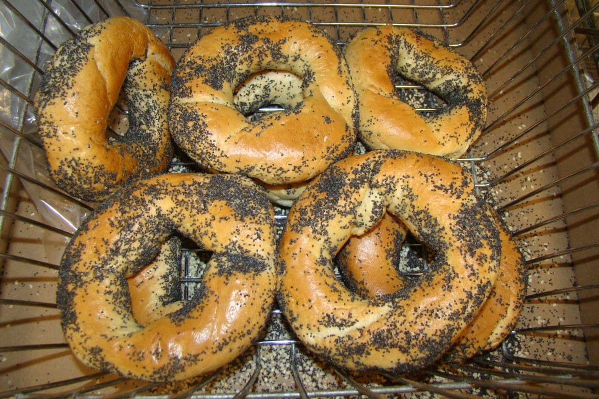 6 x Fairmount bagel aux graines de pavot / 6 x Fairmount poppy seed bagel