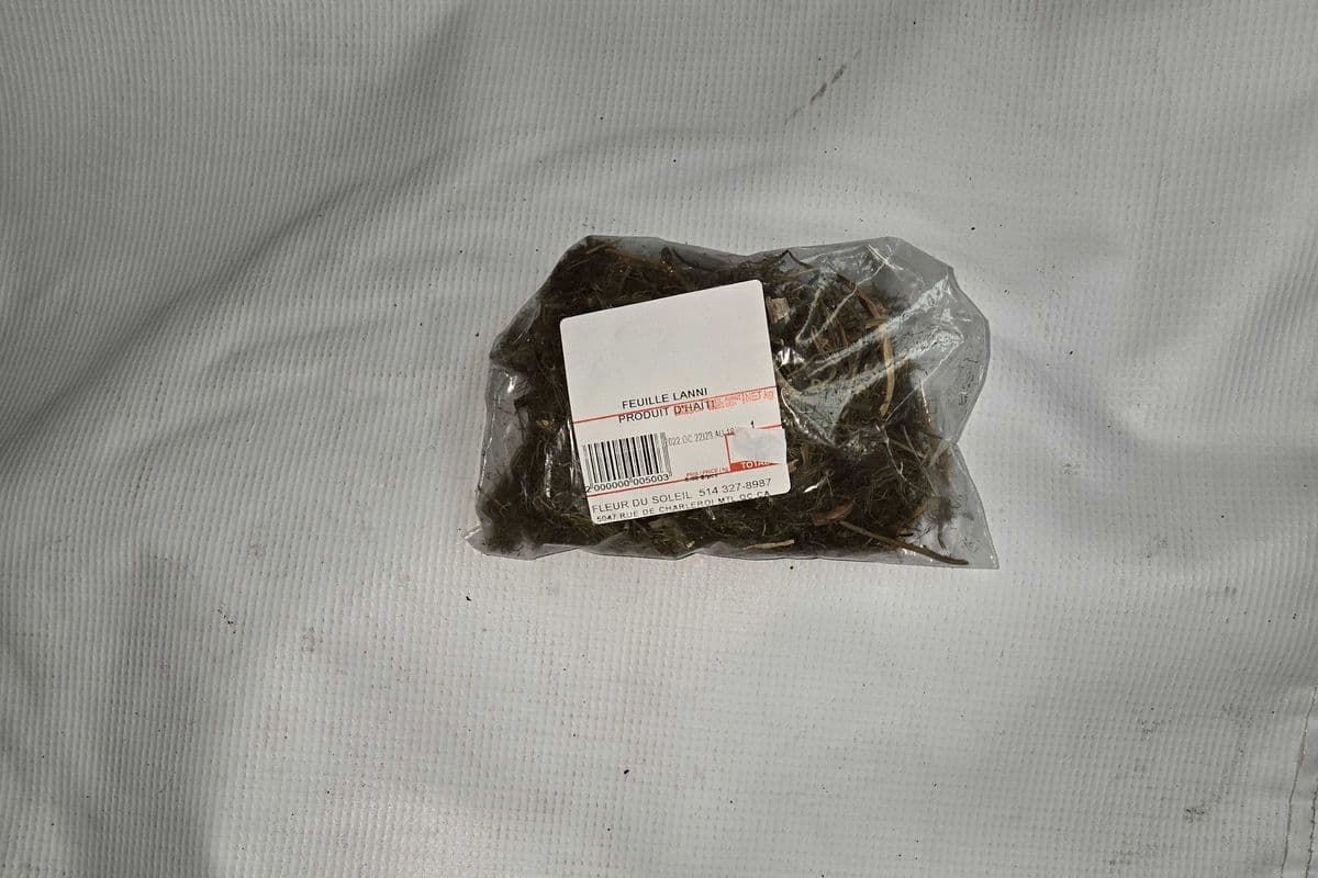 FEUILLE LANNI