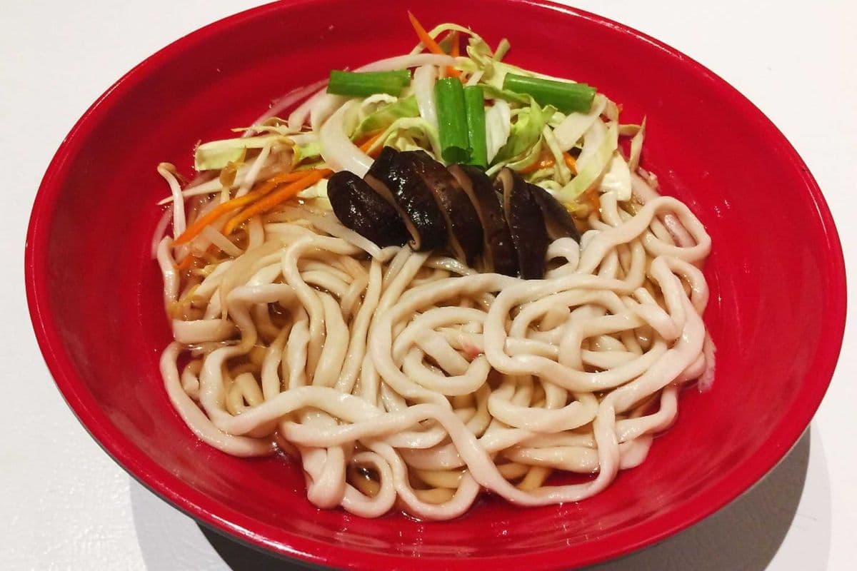 H2. Vegetable Udon