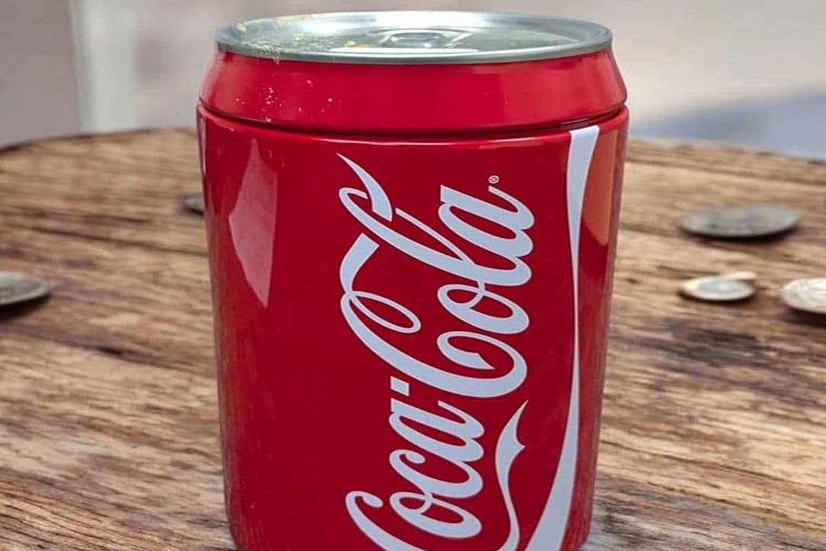 Coca Cola Can (310 ml)