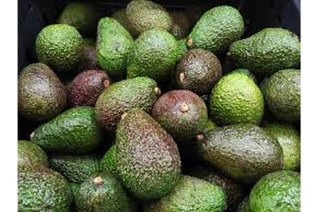 Avocado (1 pc)